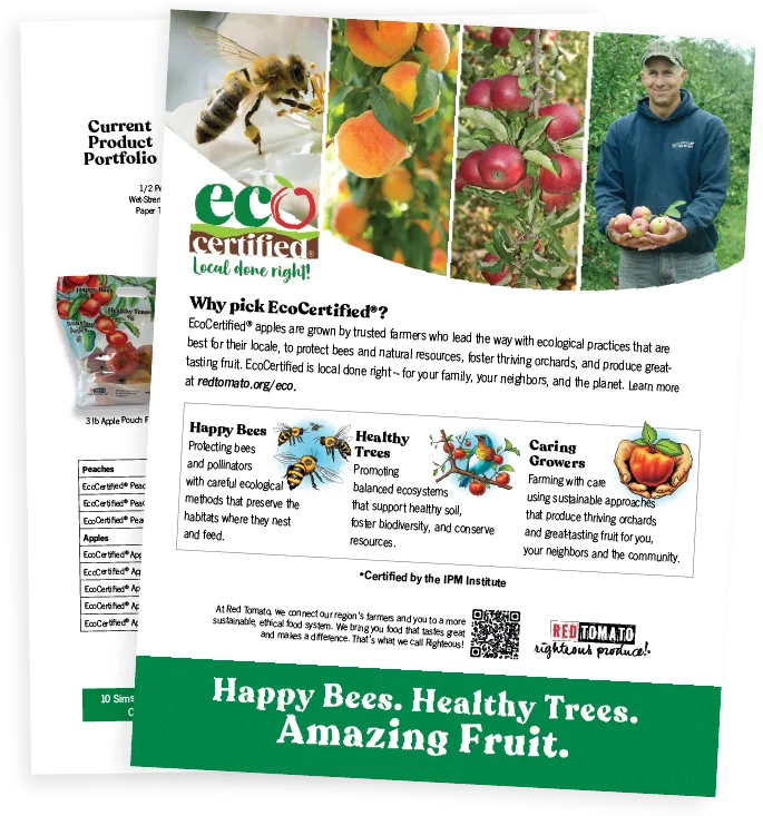 sell sheet thumbnail featuring front and back pages with information about the ecocertified program