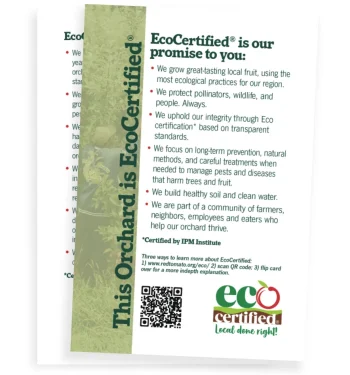 promise card thumbnail in English featuring the front and back sides