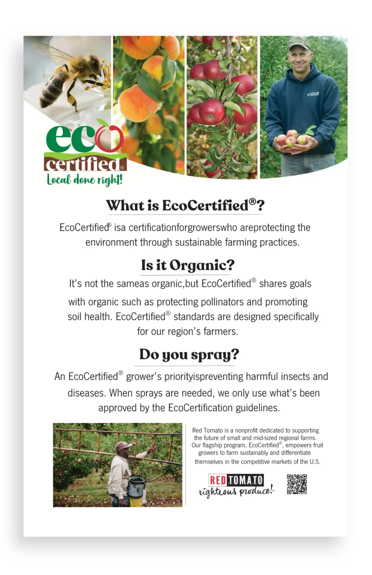 3 Q’s Card: 5.5 x 8