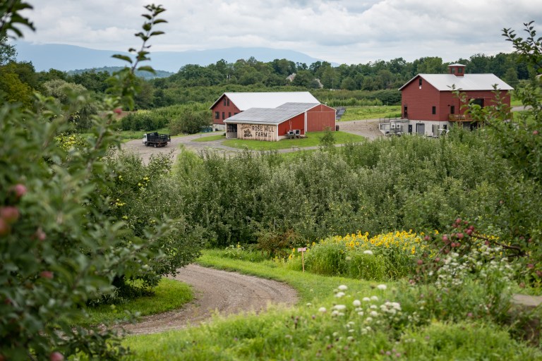 Rose Hill Farm Apple Orchard