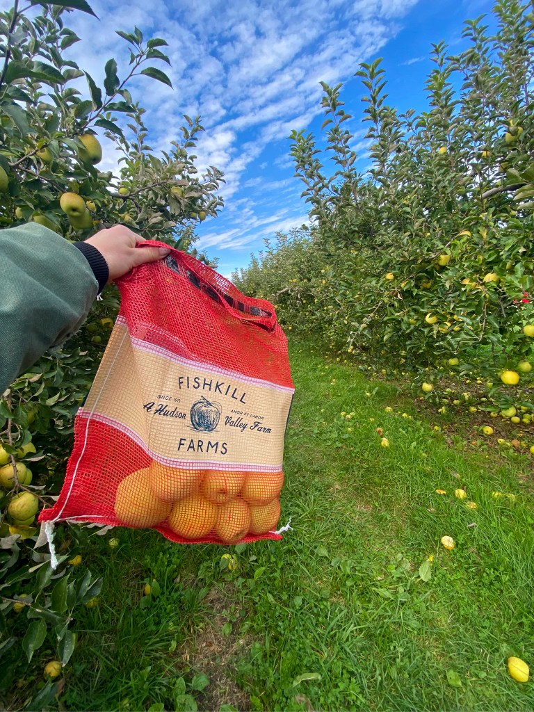 Fishkill Farms Apple Picking