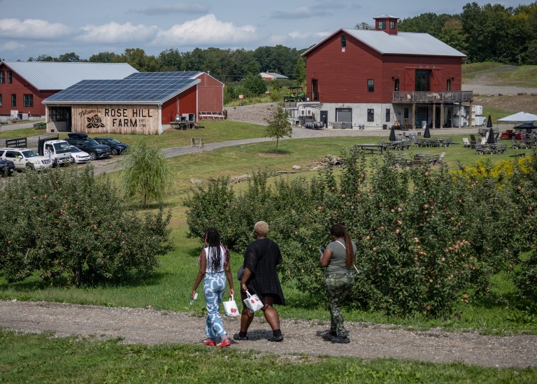 Pick Your Own Apples in New York's Hudson Valley