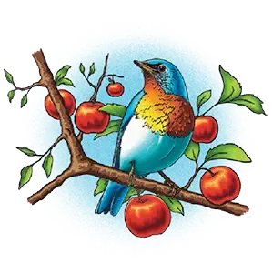 Healthy Trees Icon