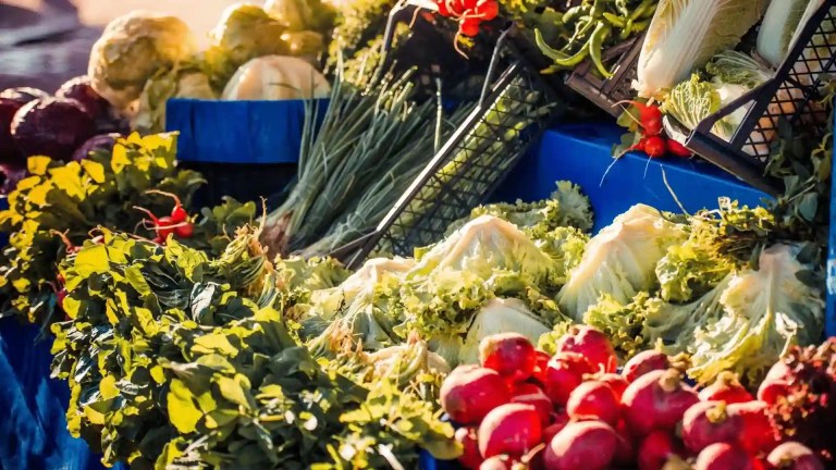 Red Tomato Bypass Project Farm Stand pic