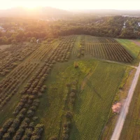 Fishkill Farms from Above