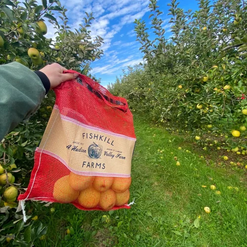 Fishkill Farms Apple Picking