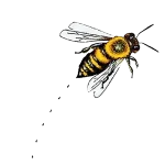 bee_isolated_300