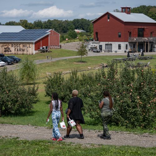 Pick Your Own Apples in New York's Hudson Valley