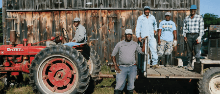 Farm workers gather around tractor and trailer
